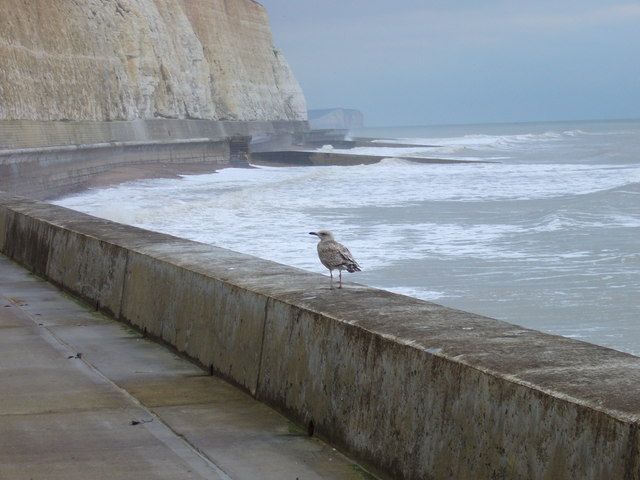 Undercliff walk at Friars' Bay