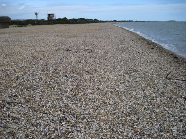 Solent Way towards Browndown Battery