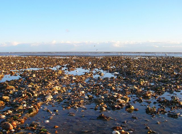 Rocks and Gulls, West Beach