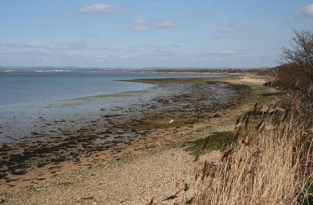 Langstone foreshore at mid tide
