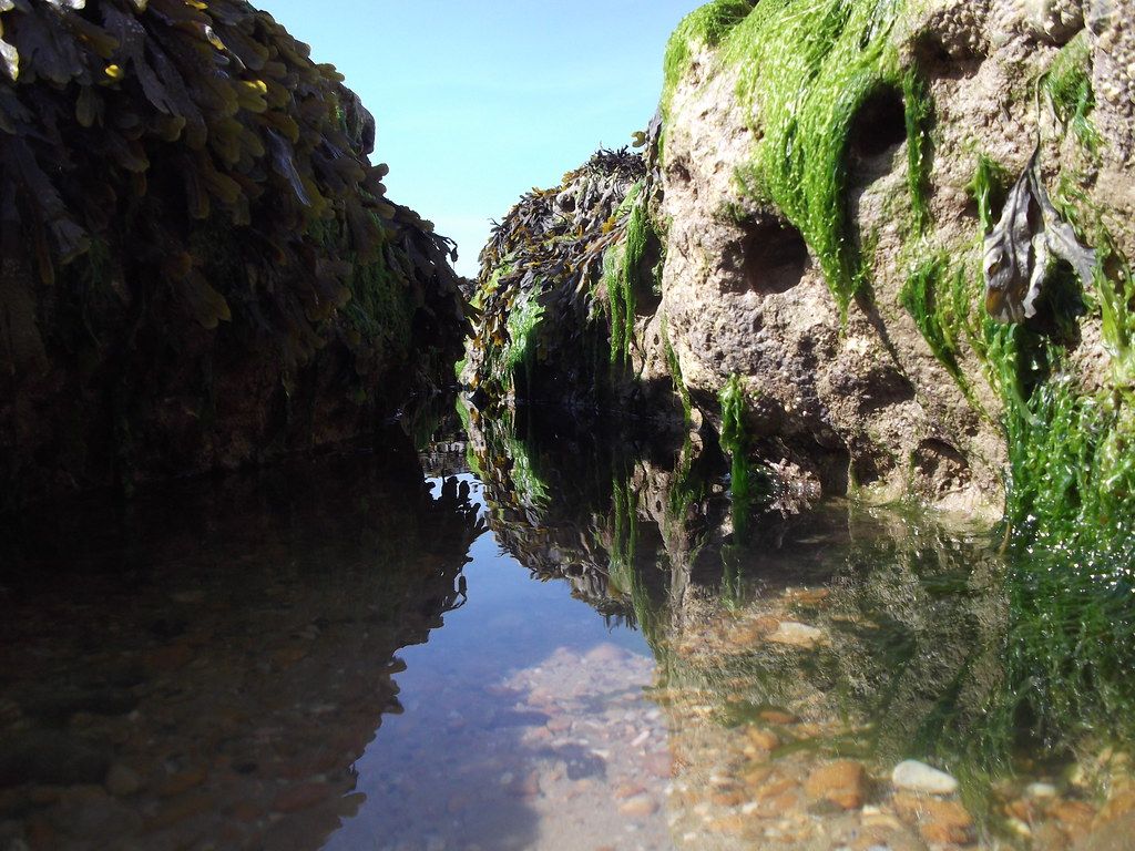 Microlandscape.