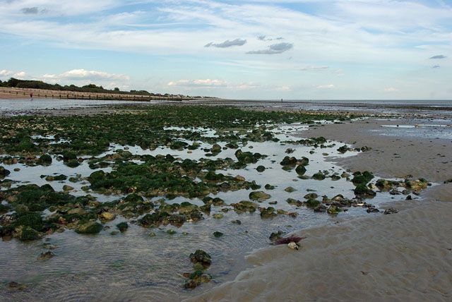 Low tide on the beach, East Preston