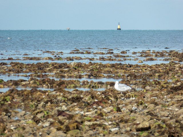 West Worthing Beach, Sussex