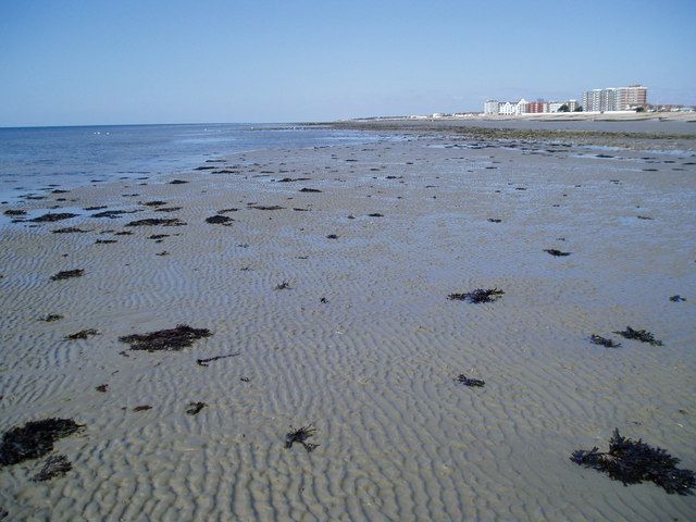 Flinty Shoreline, Worthing