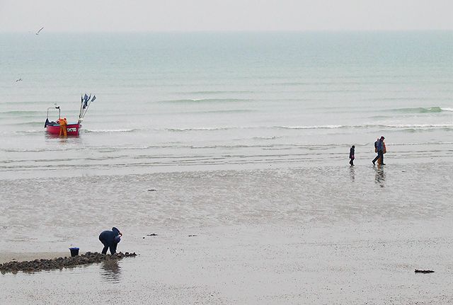 Granite and Groynes, East Worthing, West Sussex