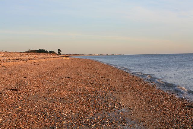 Shoreline south of Hook Park, Fareham