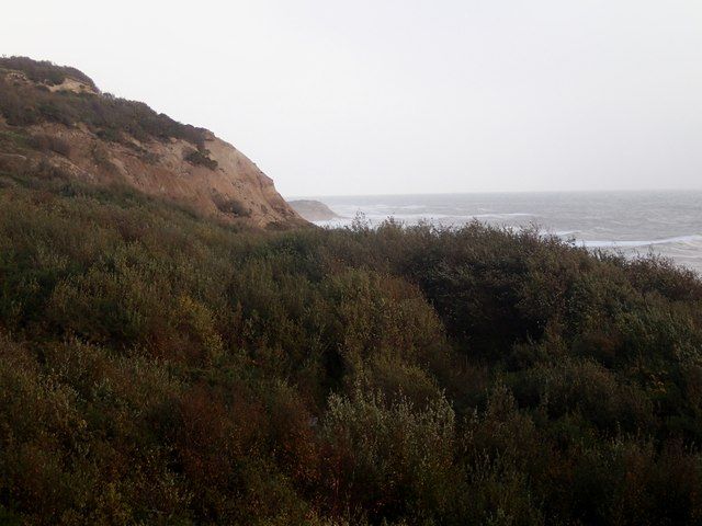 Fairlight Glen, East Sussex,