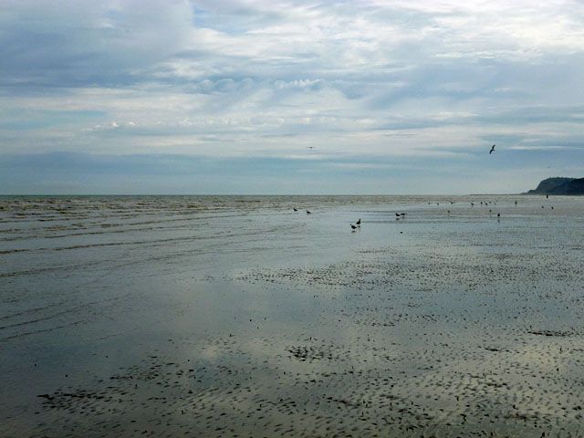 Winchelsea Beach, low tide