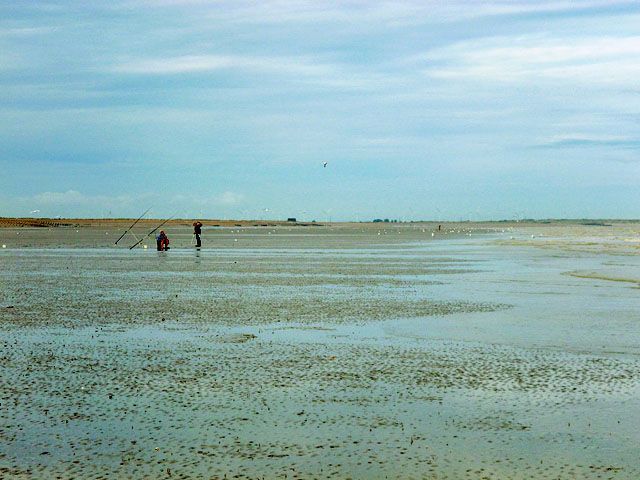 Winchelsea Beach, low tide