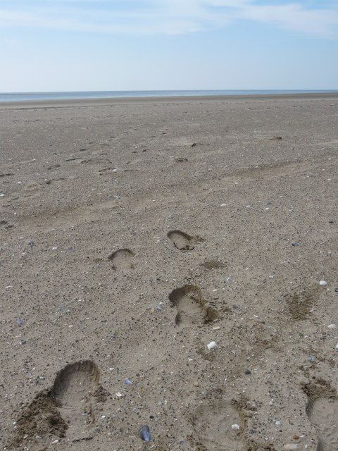 Footprints in the sand near Braunton Burrows.