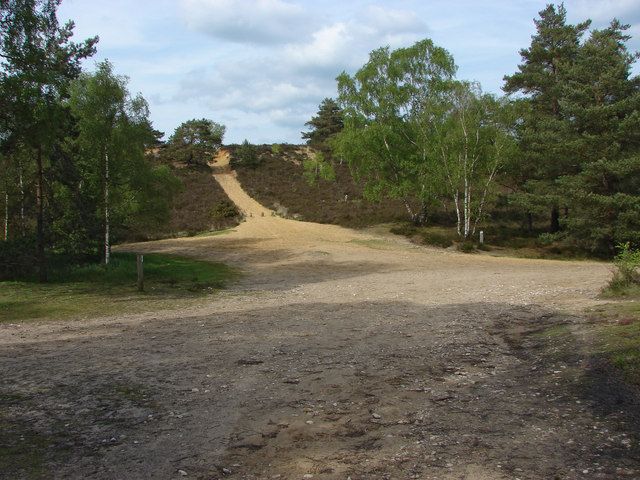 Sandy slope, Hankley Common