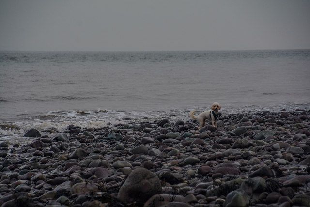 Porlock : Porlock Beach