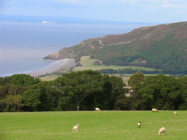 Coastline between Hurlstone Point and Bossington Beach