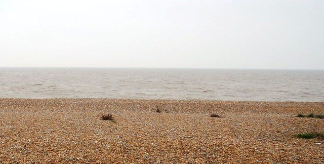 Dead starfish on the beach near Deal