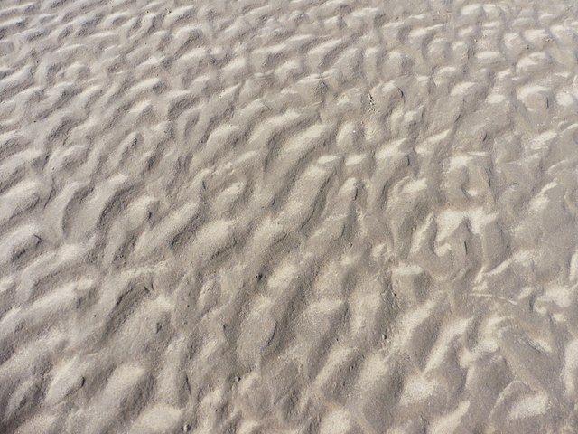 Patterrns of mud and sand, Berrow Beach