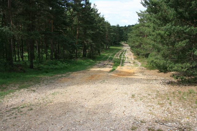 Wide sandy track on Mytchett Ranges
