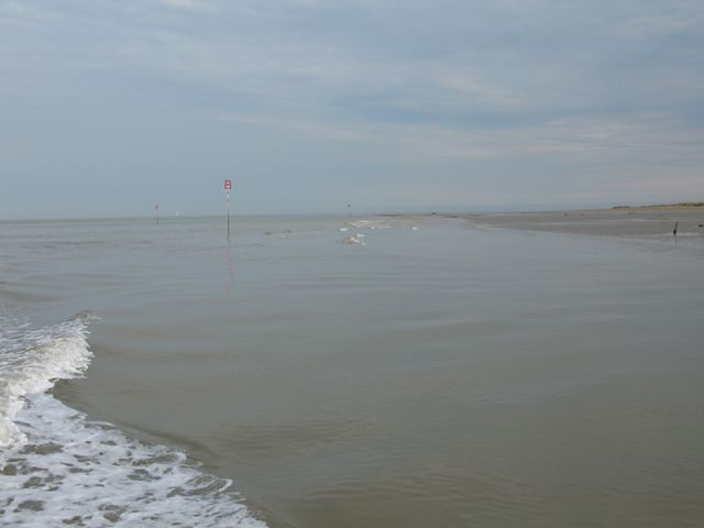 Looking SW along the edge of the shoreline