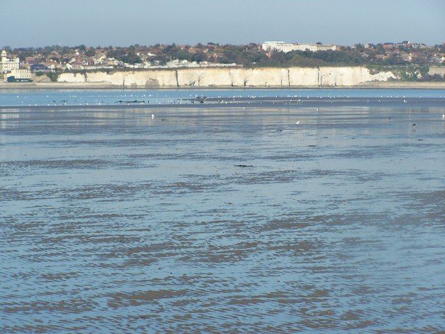 River Stour Estuary and Sandwich Flats