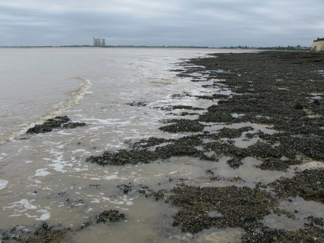 Ramsgate West Cliff at low tide
