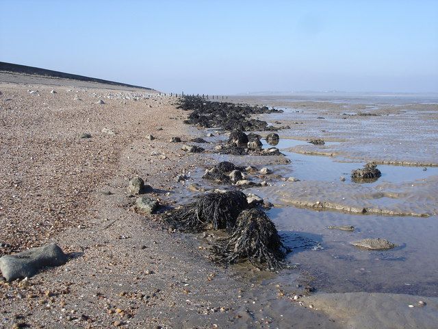 Saxon Shore Way