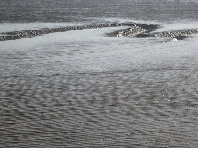 Sinuous estuarine drainage channel in the mud of Sand Bay