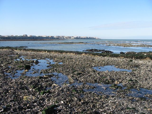Looking back towards the shore on Long Nose Spit