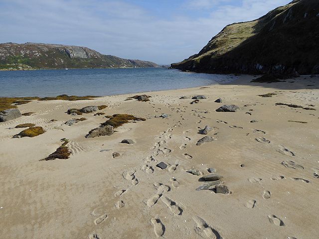 Footprints in the sand