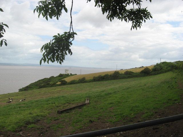 Cattle grazing above Pigeon House Bay