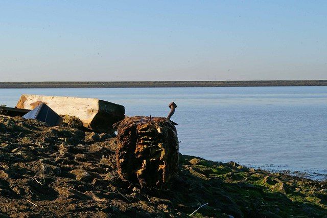Driftwood & St Mary's Bay