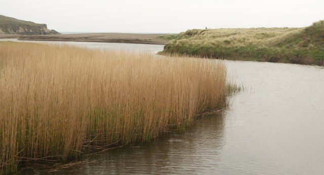 Down river from Long Strand Bridge