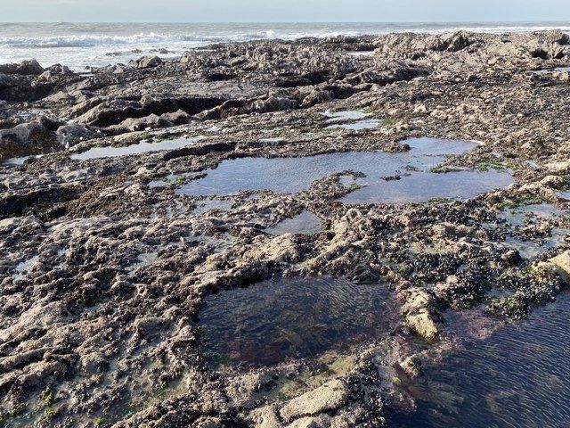 Rock pool on Crabart