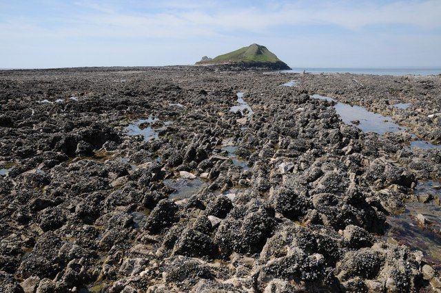 Low tide shore