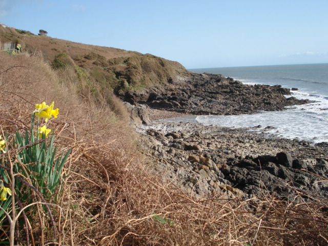 Coast near Langland Bay