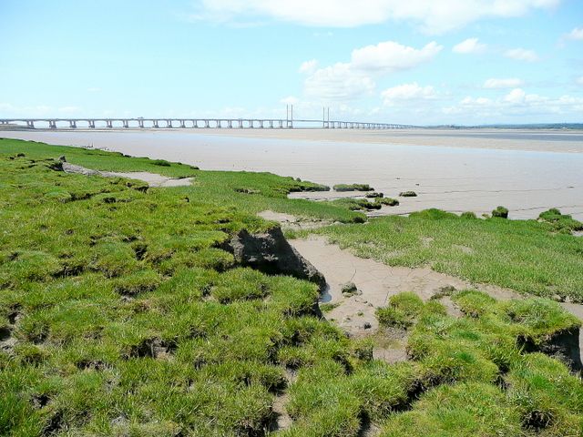 Beachley Bridge