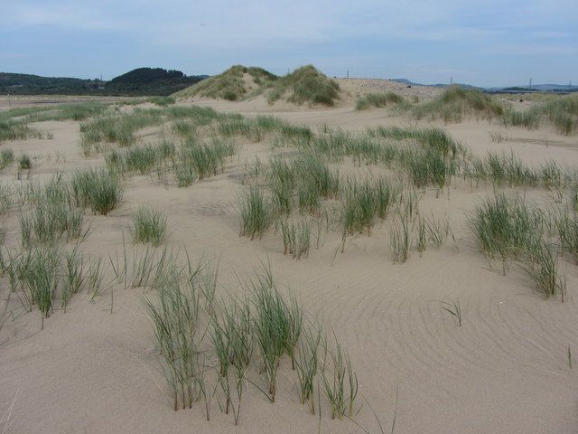 Sand dunes at Witford Point