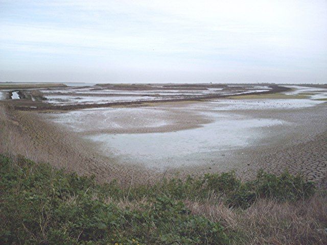 Islands and lagoons - Ringwood Point