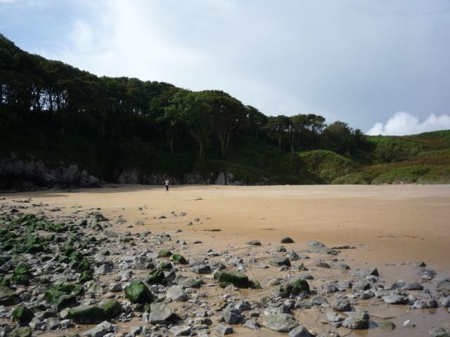 Pembrokeshire Coastal Path south of Barafundle Bay