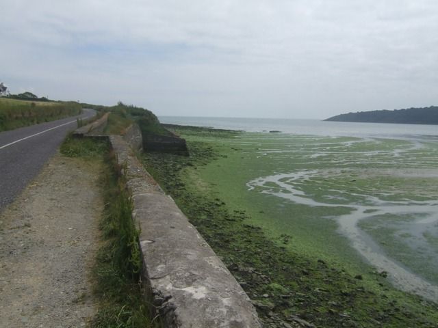 Foreshore near Lisheen House