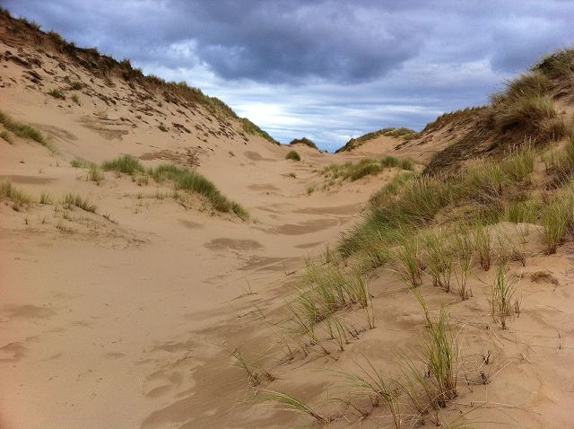 Sand Dune at Whiteford Burrows