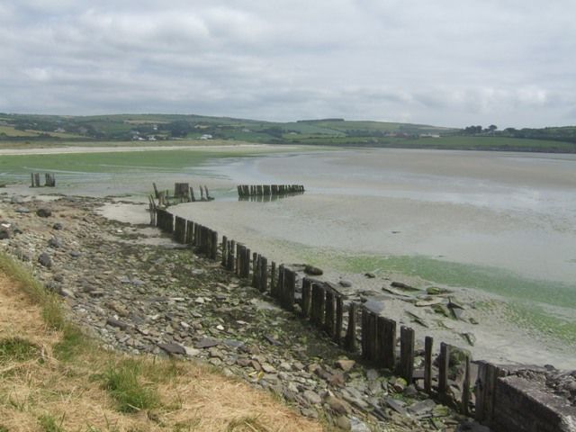 Timber piles at Harbour View
