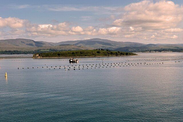 Chapel Island, Bantry Bay