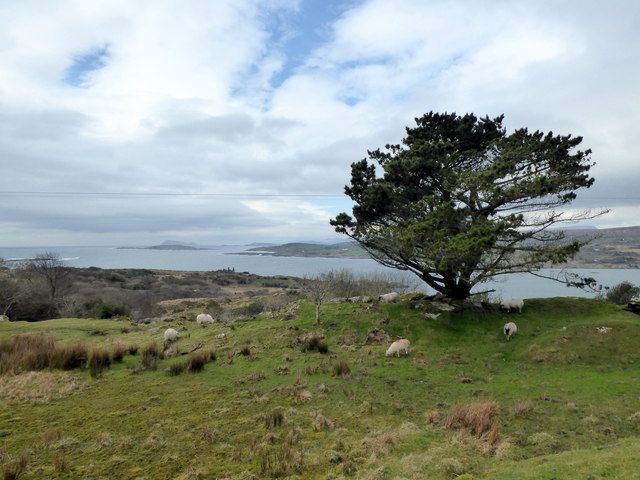 View toward Coulagh Bay from Bofickil