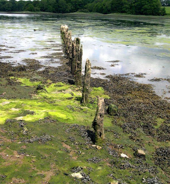 Line of stakes, Garron Pill