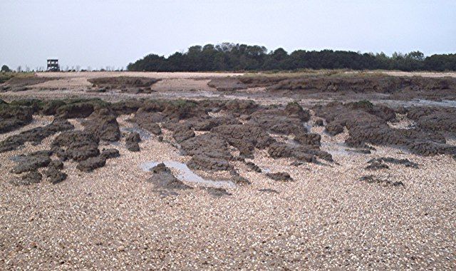 The beach at Tip Head