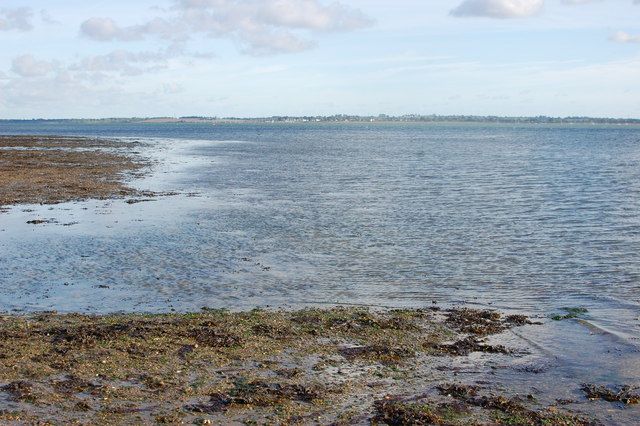 Low tide south of Joyce's Marsh