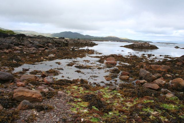 Rocky inlet on Cove Harbour