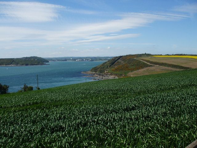 Whitebay East Cork