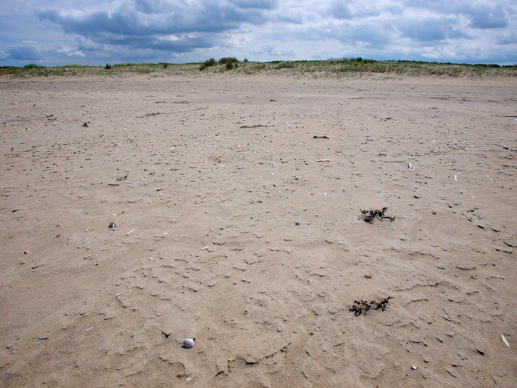 Ribbels in het zand