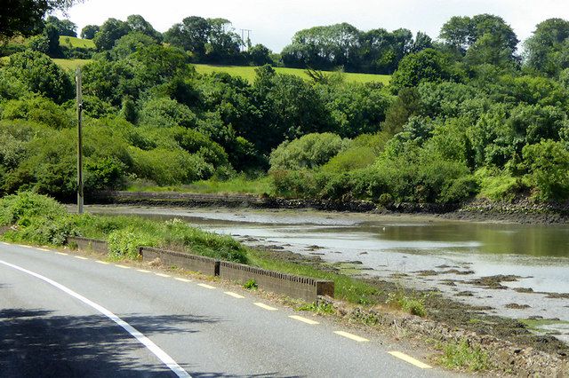 Lough Mahon, Cork Harbour