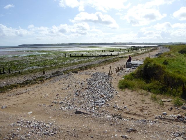 Seaweed-strewn beach and old groynes